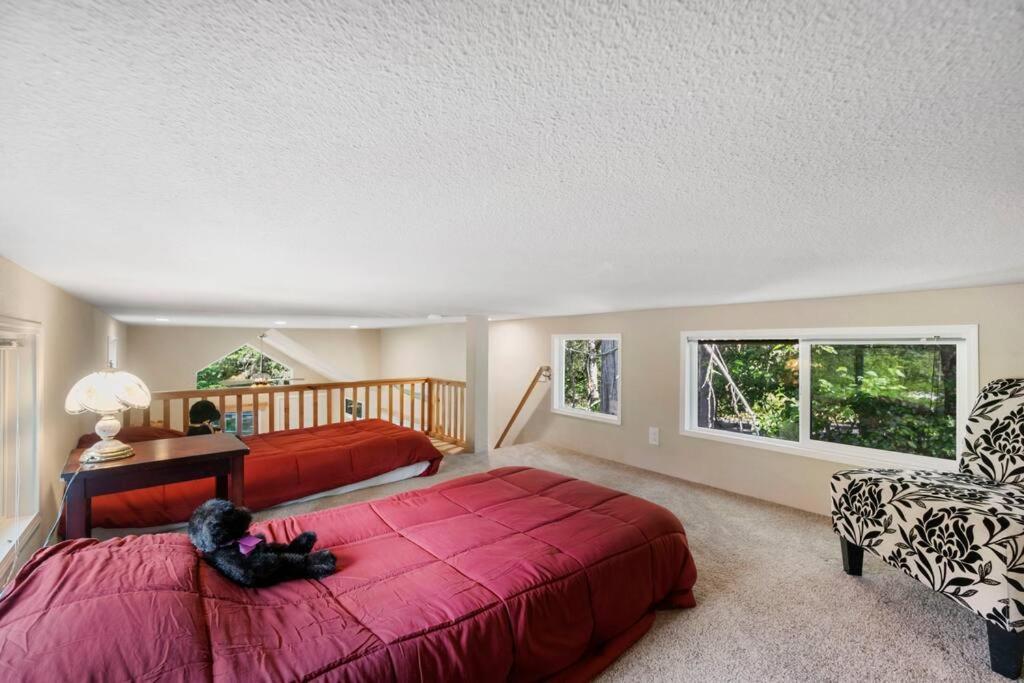 New Tiny Home Steps Away From Mt. Rainier Ashford Exterior photo