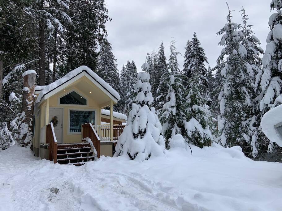 New Tiny Home Steps Away From Mt. Rainier Ashford Exterior photo