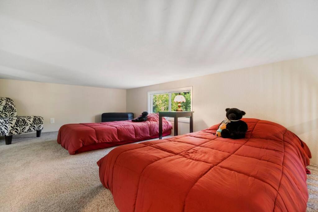 New Tiny Home Steps Away From Mt. Rainier Ashford Exterior photo